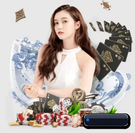 公司成立